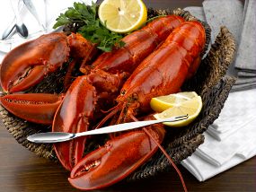 steamed Maine lobster